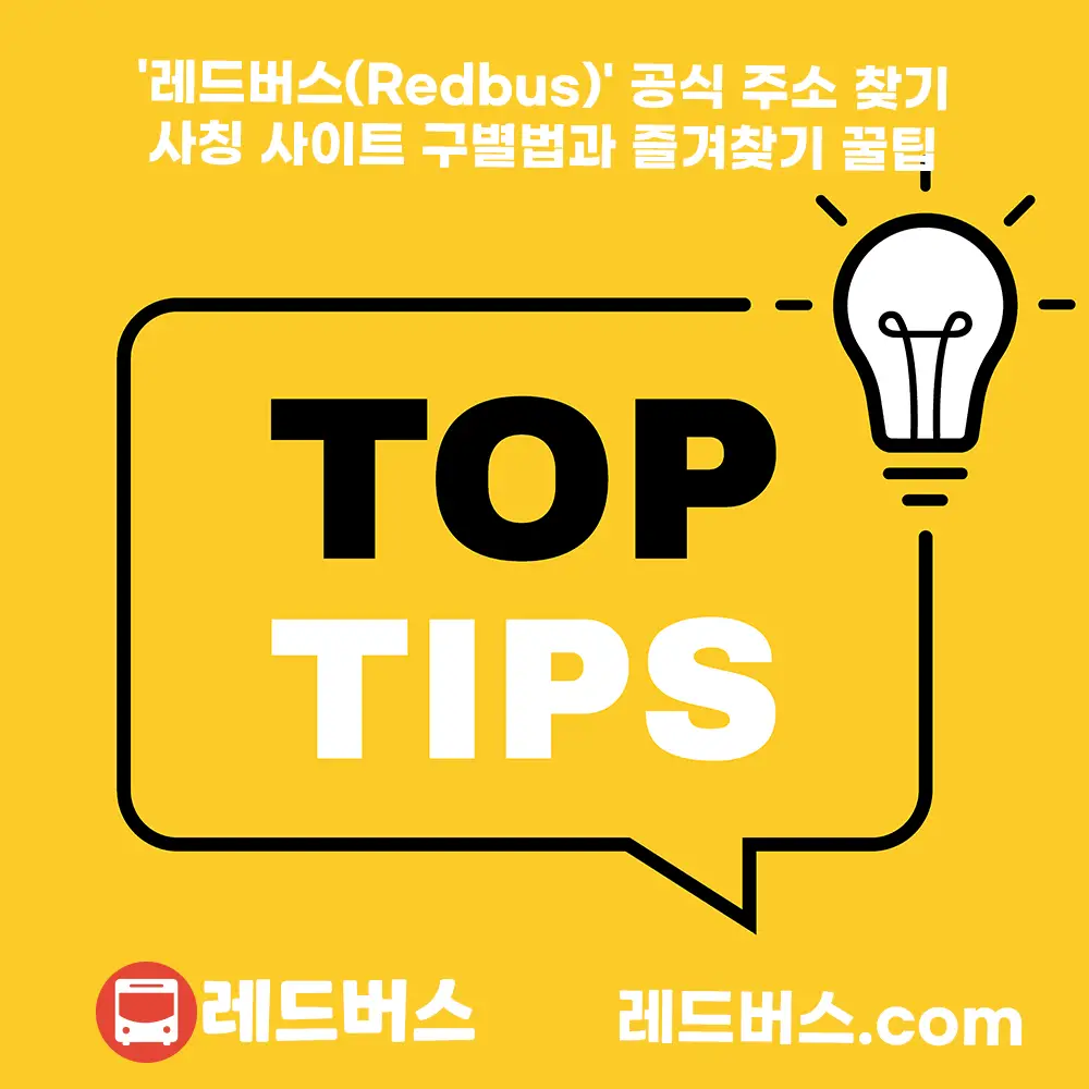 레드버스 주소 확인과 사칭 페이지 구분 가이드